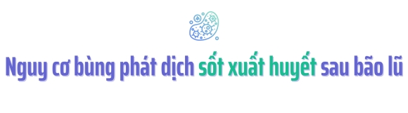 2 Hon 200 Nguoi Trong Vung Ngap Lut O Ha Noi Cung Mac Mot Loai Benh Bo Y Te Canh Bao Bung Dich Tien Si Chi Ra 1 Thoi Quen Co The La Nguon Con Gay Benh