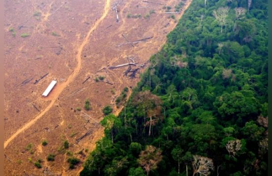 Rừng Amazon không còn chịu nổi áp lực, nguy cơ sụp đổ