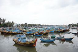 Vụ xin khai thác 3 tấn vàng ở Bình Thuận: Không có cơ sở xem xét