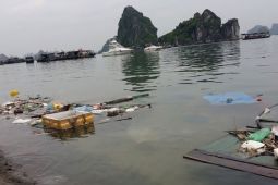 Du khách nước ngoài: Nếu biết vịnh Hạ Long ô nhiễm như vậy đã không đến